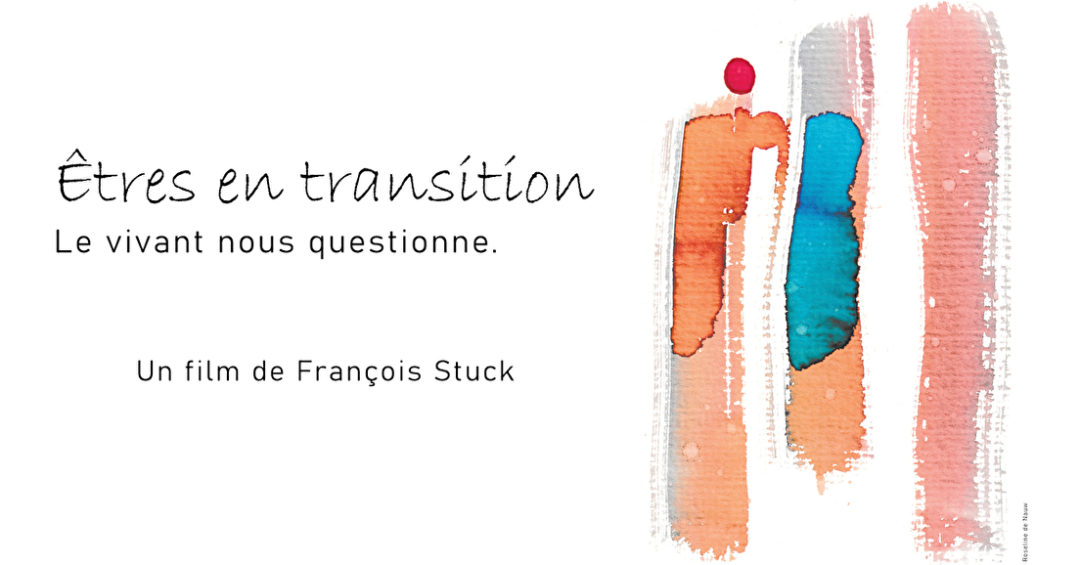 Etres en transition - François Stuck