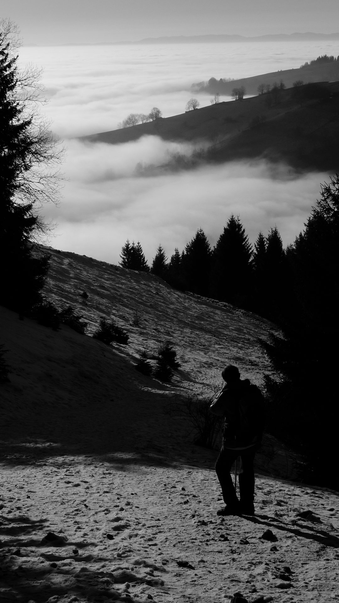 Université Populaire du Chablais - Balcon du Léman